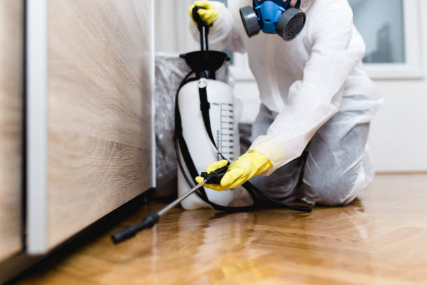 Wasp Removal Services in Claryville, KY