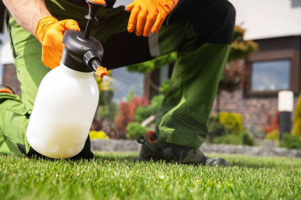 Best Flea Control Services  in Claryville, KY