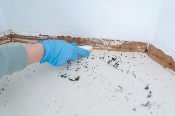 Best Emergency Pest Control  in Claryville, KY