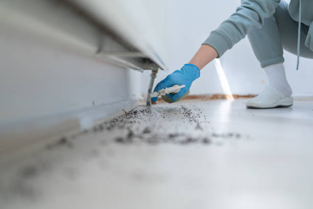 Best Affordable Pest Control Services  in Claryville, KY